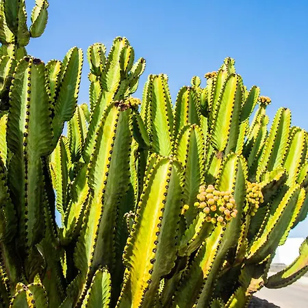 Aleksandra Spacious For 8 Guests, Heated Pool, Mountain Views 別荘